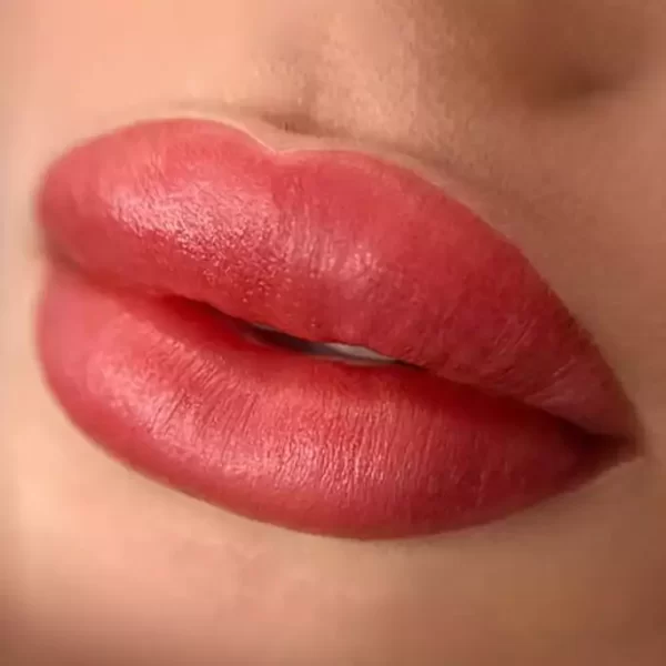 Ombre Lips Dubai